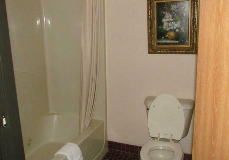 غرفة قياسية سرير كينج, Western Inn & Suites Hampton