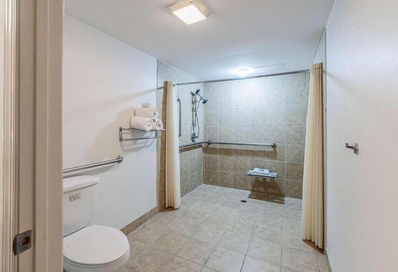 스탠다드 룸 킹사이즈 침대, Motel 6 Martinsburg, Wv