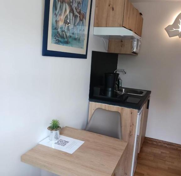 스탠다드 스튜디오, Lastiry