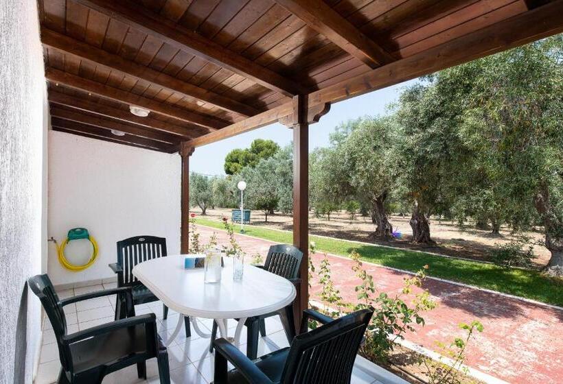 スーペリアールーム, Blue Marine Village