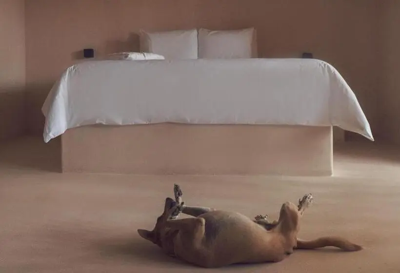 Suite with Pool, Xeno Hotel Boutique