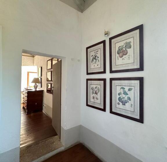 带山景的复式房间, Convento Senhora Da Vitória