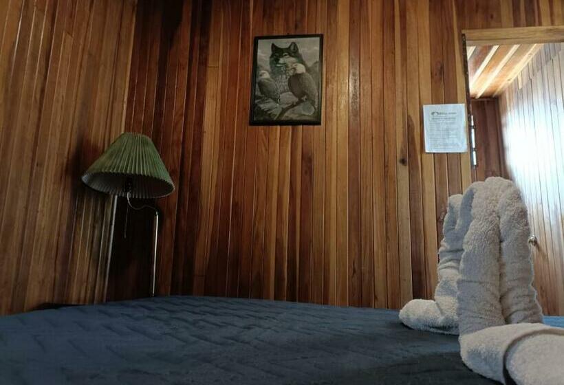 스탠다드 룸, Bell Bird