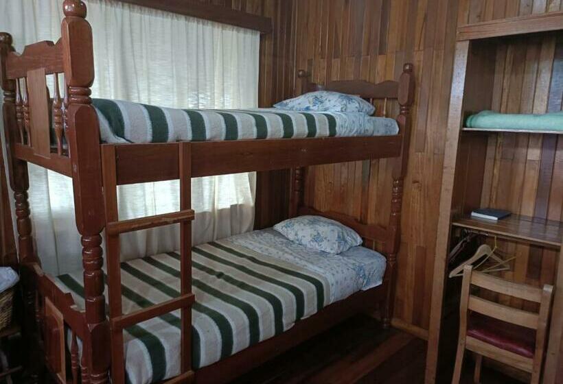 패밀리 룸 공용 욕실, Bell Bird