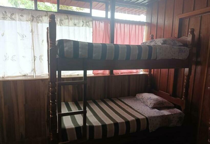 패밀리 룸 공용 욕실, Bell Bird