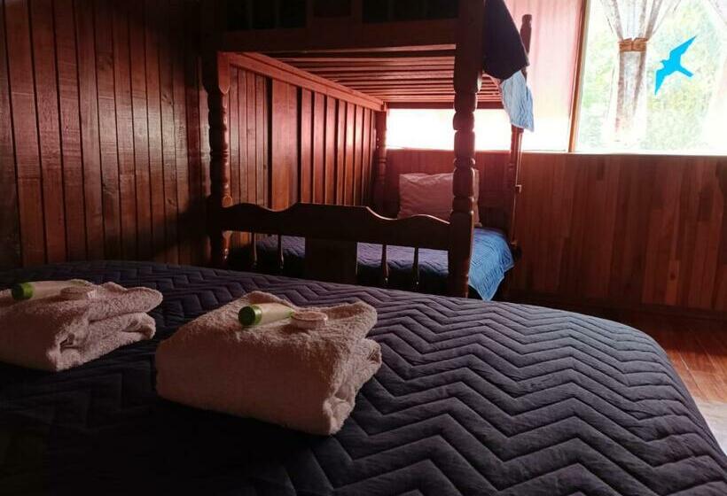 패밀리 룸, Bell Bird