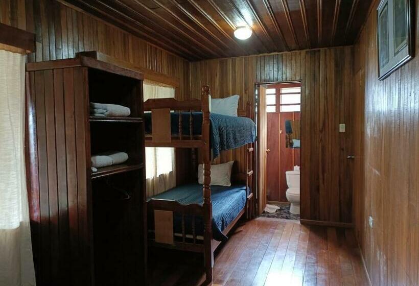 패밀리 룸, Bell Bird