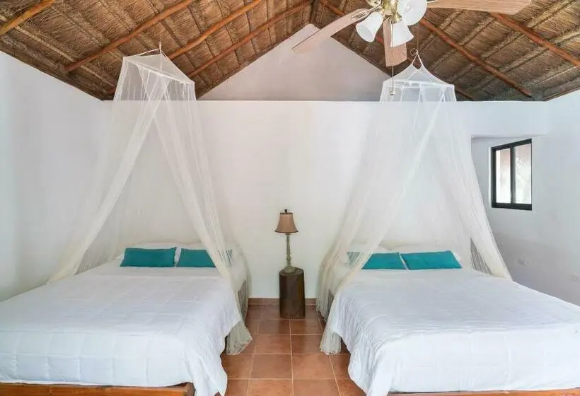 Standard-huone, Ecovergel Hotel Riviera Maya