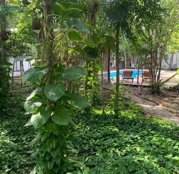 غرفة سوبيريور, Ecovergel Hotel Riviera Maya