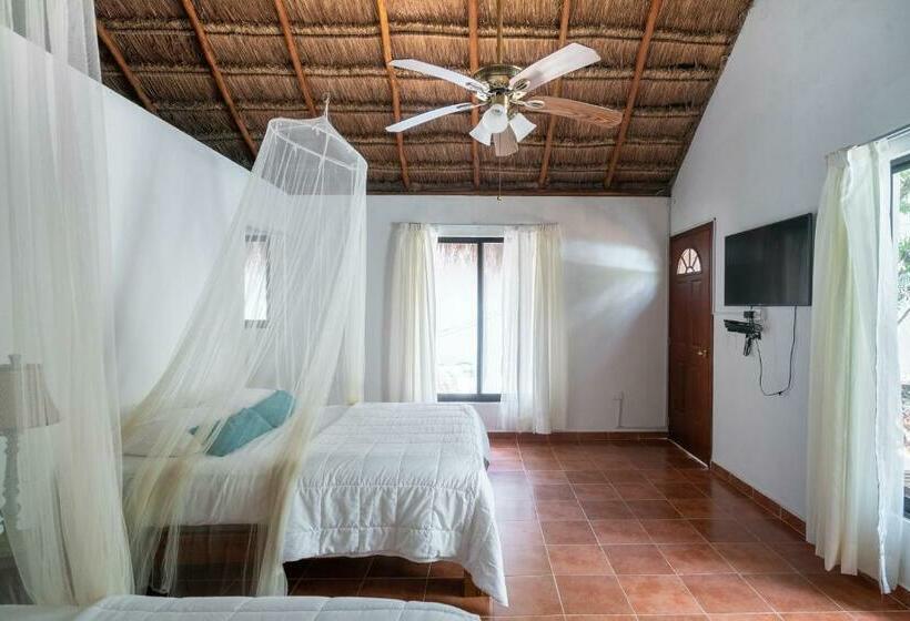 غرفة قياسية, Ecovergel Hotel Riviera Maya
