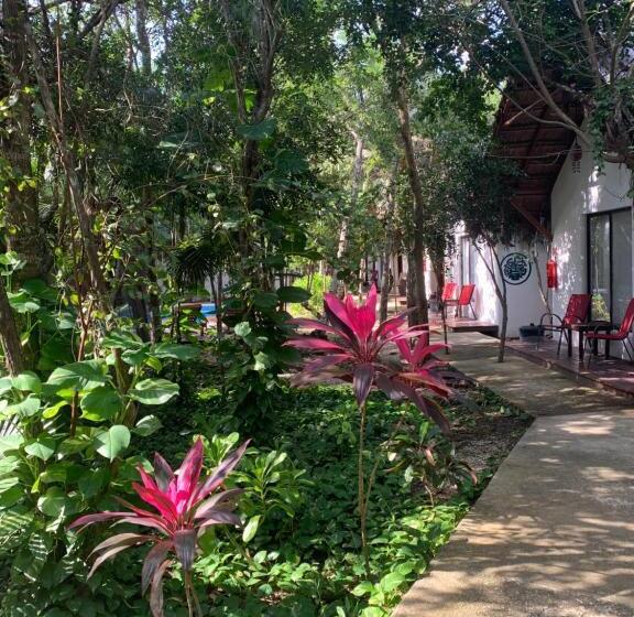 غرفة قياسية, Ecovergel Hotel Riviera Maya