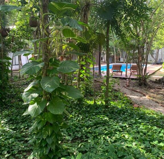 غرفة قياسية, Ecovergel Hotel Riviera Maya