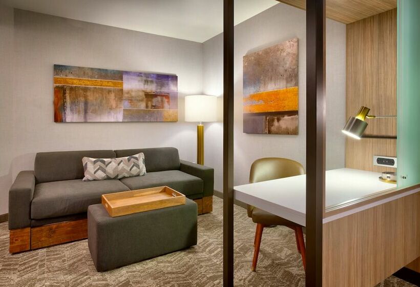 Люкс, Springhill Suites By Marriott Salt Lake City South Jordan
