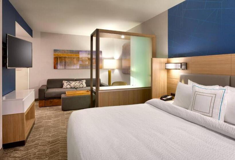 Люкс Кровать Кинг, Springhill Suites By Marriott Salt Lake City South Jordan