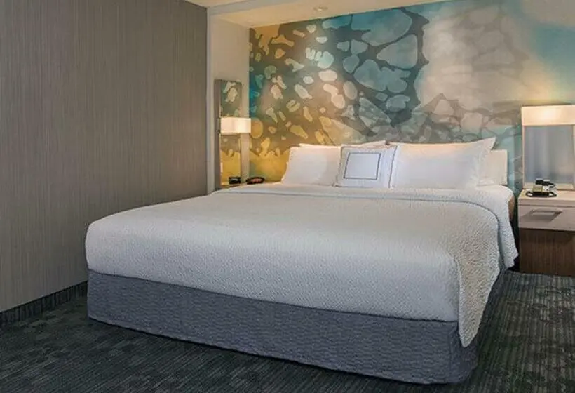 キングサイズベッドのスタンダードルーム, Courtyard By Marriott Hershey Chocolate Avenue
