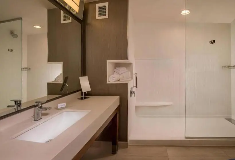 身障者適用スタンダードルーム, Courtyard By Marriott Hershey Chocolate Avenue