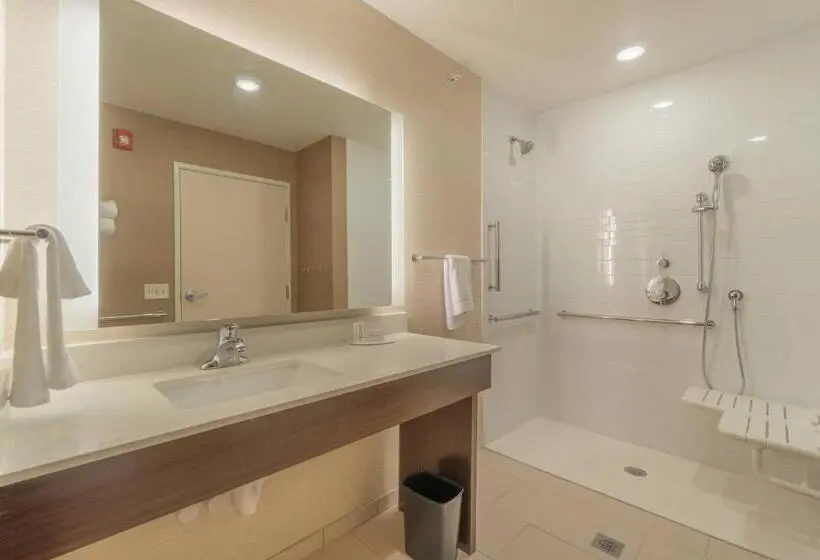 キングサイズベッドのスタンダードルーム, Fairfield Inn & Suites By Marriott Gaylord