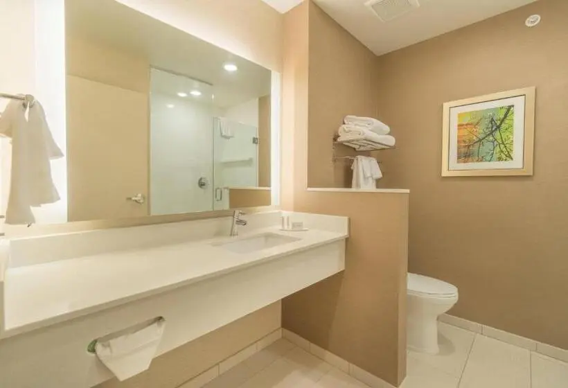 キングサイズベッドのスタンダードルーム, Fairfield Inn & Suites By Marriott Gaylord