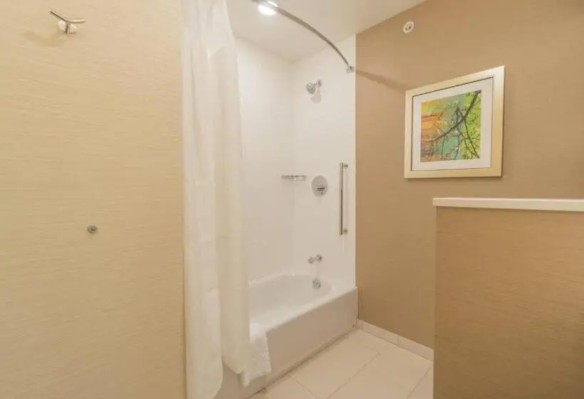 スタンダードルーム, Fairfield Inn & Suites By Marriott Gaylord