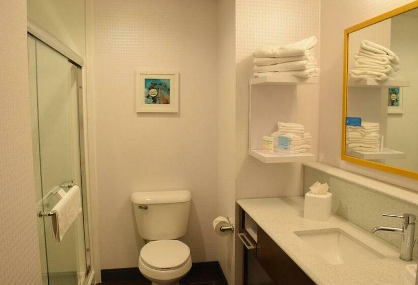 キングサイズベッドのスタンダードルーム, Hampton Inn Buffalohamburg