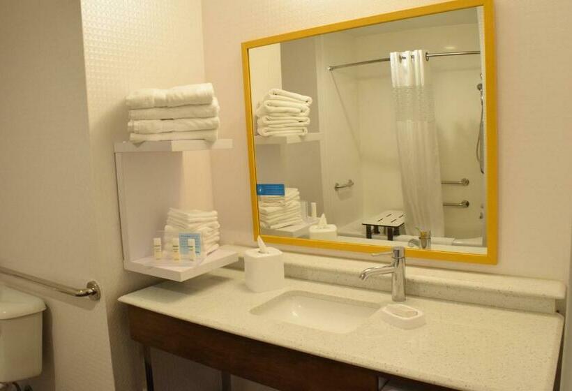 适合残疾人士使用的带超级大床的标准间, Hampton Inn Buffalohamburg