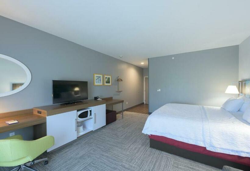带大床的行政房间, Hampton Inn Buffalohamburg