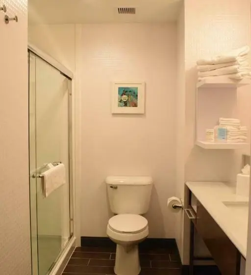 Executive-huone King-vuode, Hampton Inn Buffalohamburg