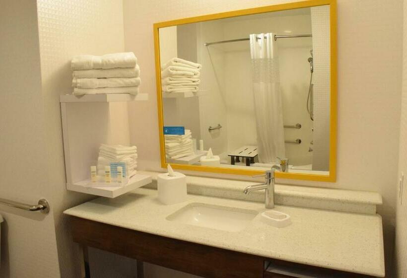 适合残疾人士使用的带超级大床的标准间, Hampton Inn Buffalohamburg