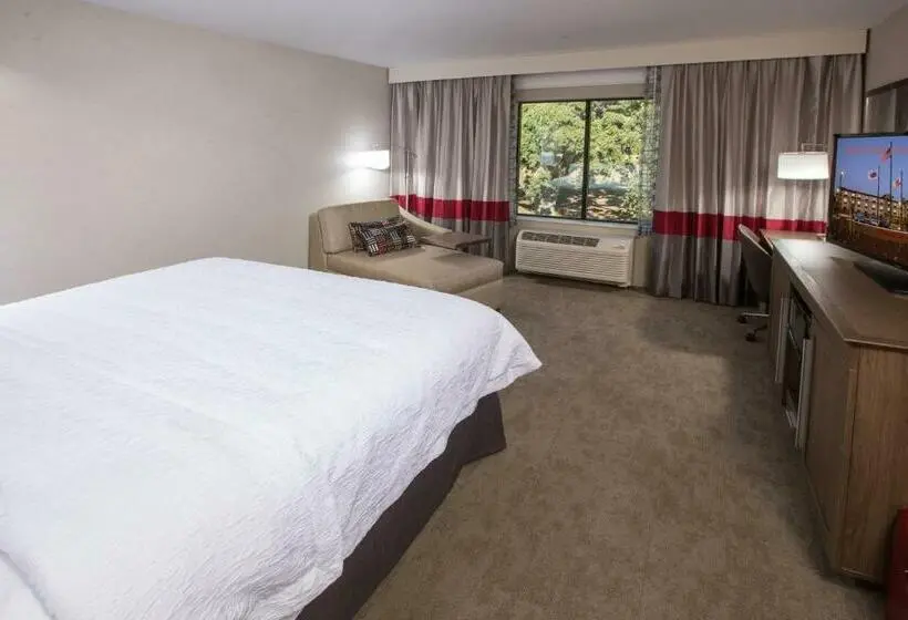 身障者適用キングサイズベッドルーム, Hampton Inn & Suites Buellton/santa Ynez Valley