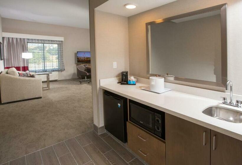 キングサイズベッドのエクゼクティブ, Hampton Inn & Suites Buellton/santa Ynez Valley