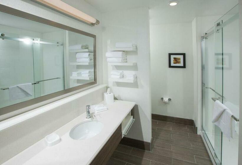 身障者適用キングサイズベッドルーム, Hampton Inn & Suites Buellton/santa Ynez Valley