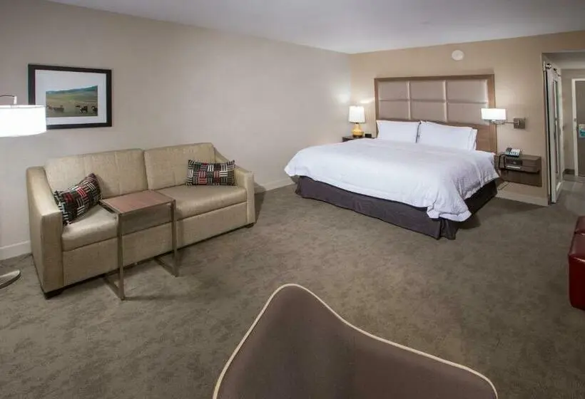 身障者適用キングサイズベッドルーム, Hampton Inn & Suites Buellton/santa Ynez Valley