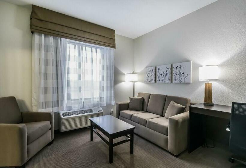 מיטת קינג בסוויטה, Sleep Inn & Suites Columbia