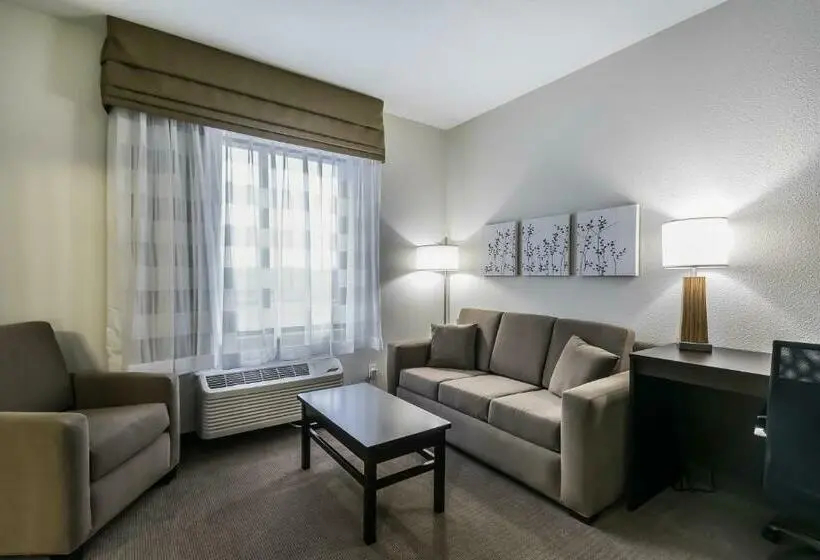 キングサイズベッドのスイートルーム, Sleep Inn & Suites Columbia
