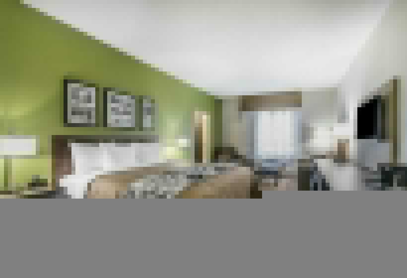 스위트 킹사이즈 침대, Sleep Inn & Suites Columbia