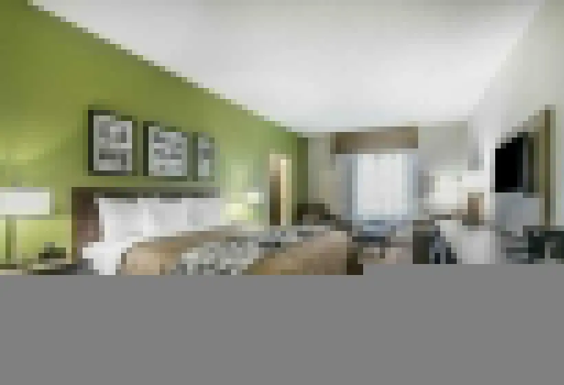 キングサイズベッドのスタンダードルーム, Sleep Inn & Suites Columbia