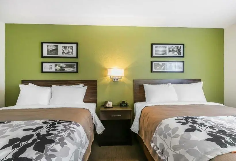 スタンダードルーム, Sleep Inn & Suites Columbia