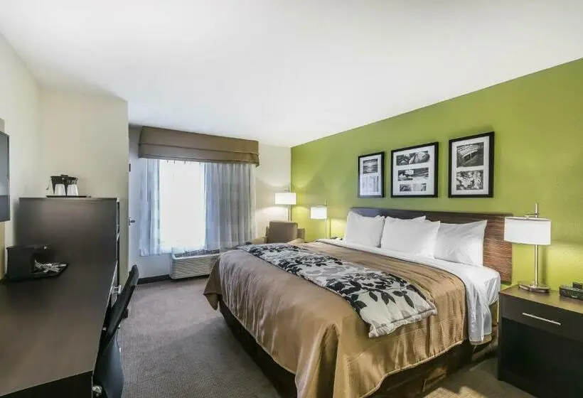 キングサイズベッドのスタンダードルーム, Sleep Inn & Suites Columbia