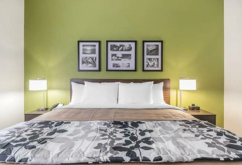 キングサイズベッドのスタンダードルーム, Sleep Inn & Suites Columbia