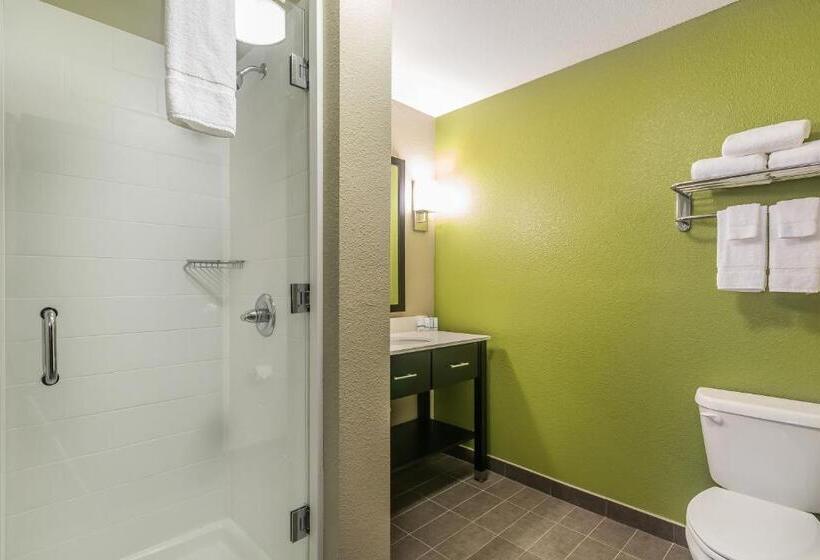 חדר סטנדרט עם מיטת קינג, Sleep Inn & Suites Columbia