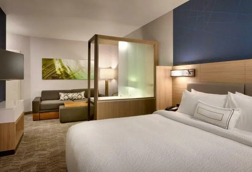 Sviitti King-vuode, Springhill Suites By Marriott Idaho Falls