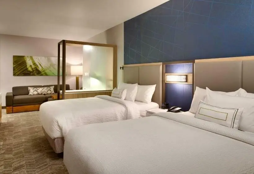 Sviitti, Springhill Suites By Marriott Idaho Falls