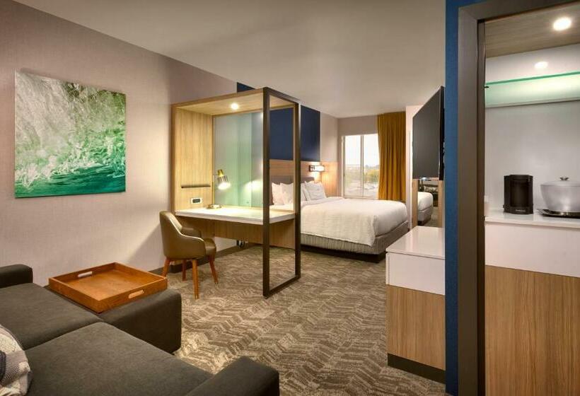 带大床的套房, Springhill Suites By Marriott Idaho Falls