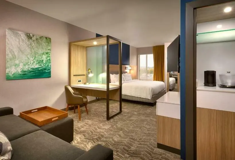 Sviitti King-vuode, Springhill Suites By Marriott Idaho Falls