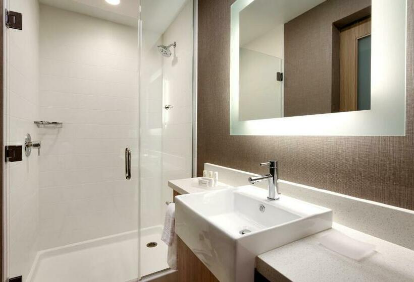 스위트 킹사이즈 침대, Springhill Suites By Marriott Idaho Falls