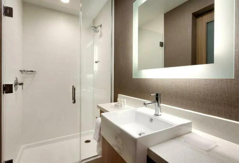 Sviitti King-vuode, Springhill Suites By Marriott Idaho Falls