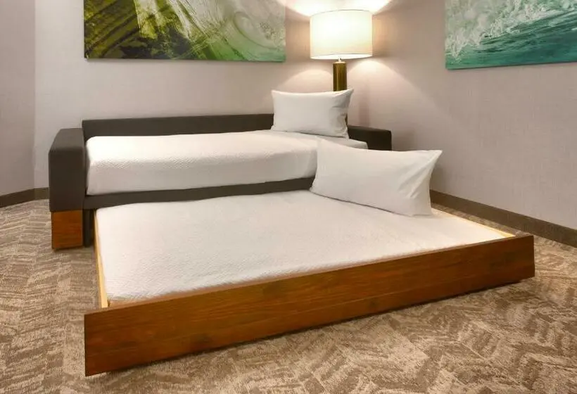 Sviitti King-vuode, Springhill Suites By Marriott Idaho Falls