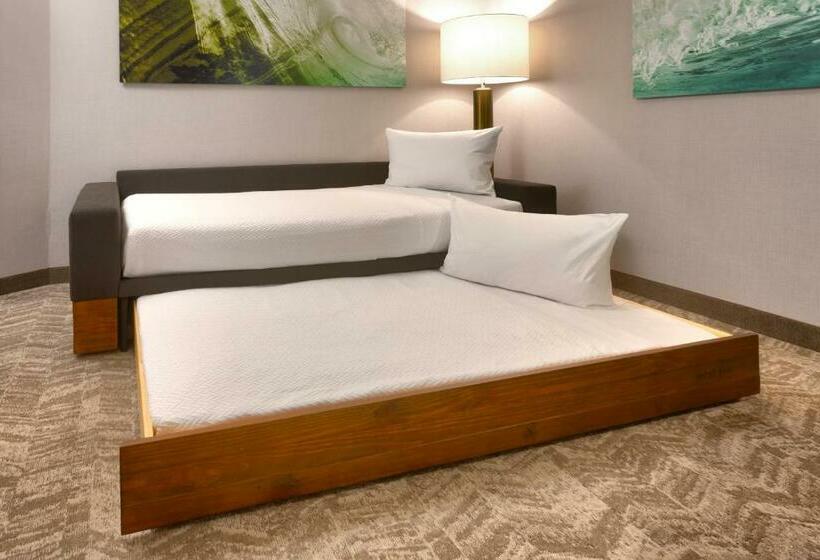 스위트, Springhill Suites By Marriott Idaho Falls