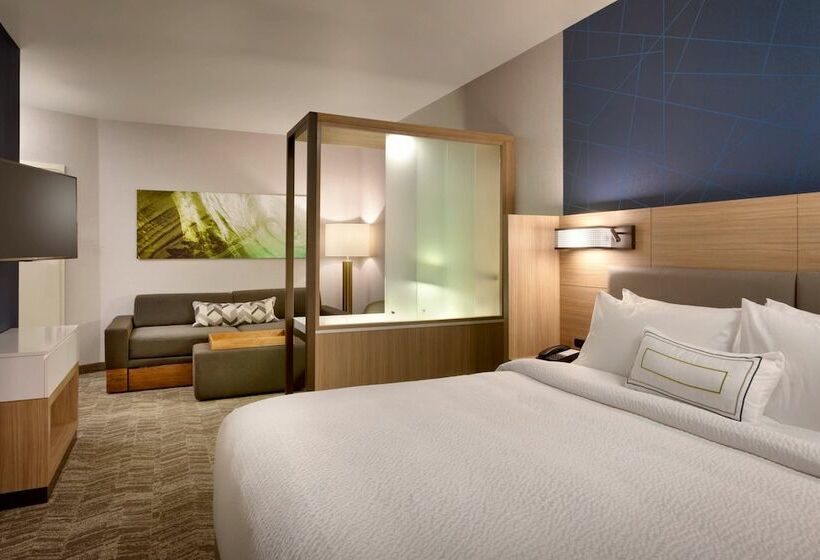 스위트, Springhill Suites By Marriott Idaho Falls