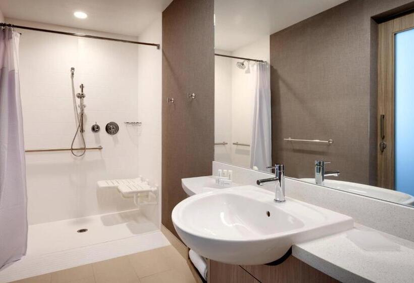 带大床的套房, Springhill Suites By Marriott Idaho Falls